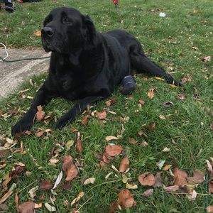 Meet your Posher, Beverly